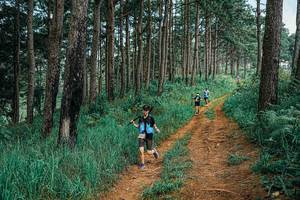 BIB: 
                            <button type="button" onclick="openModal(25666101)" class="btn btn-primary btn-sm float-right btn-popup" data-toggle="modal" data-target=".modal-high-quality">
                        <i class="fas fa-shopping-cart"></i> Add to Cart
                    </button>
                                            <button type="button" onclick="isThisMe(25666101, true)" class="btn btn-success btn-sm float-right btn-popup btn-isme hidden" data-toggle="tooltip" data-placement="bottom" title="นี่คือรูปของคุณใช่ไหม คลิกที่นี่เพื่อเอาเข้าอัลบั้ม">
                        <i class="fas fa-plus"></i> Add to album
                    </button>
                    <button type="button" onclick="isThisMe(25666101, false)" class="btn btn-warning btn-sm float-right btn-popup btn-isnotme hidden">
                        <i class="fas fa-ban"></i> Remove from album
                    </button>